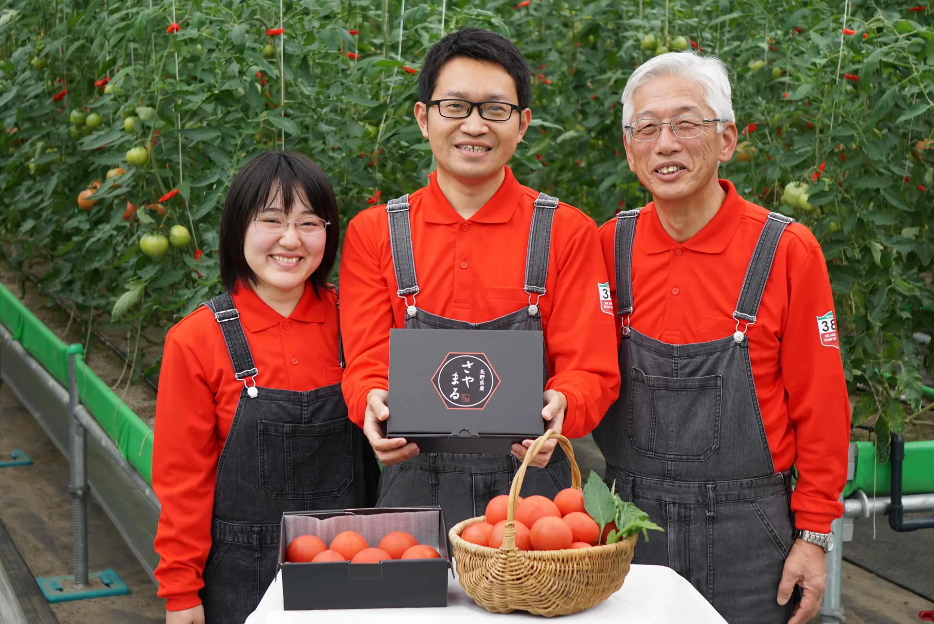日本郵便の新規事業は「トマト」！？――ゼロからトマト栽培に挑むイントレプレナーの奮闘に迫る