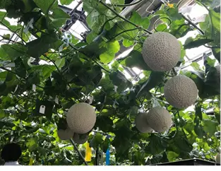 thumb_20190801123843.jpg