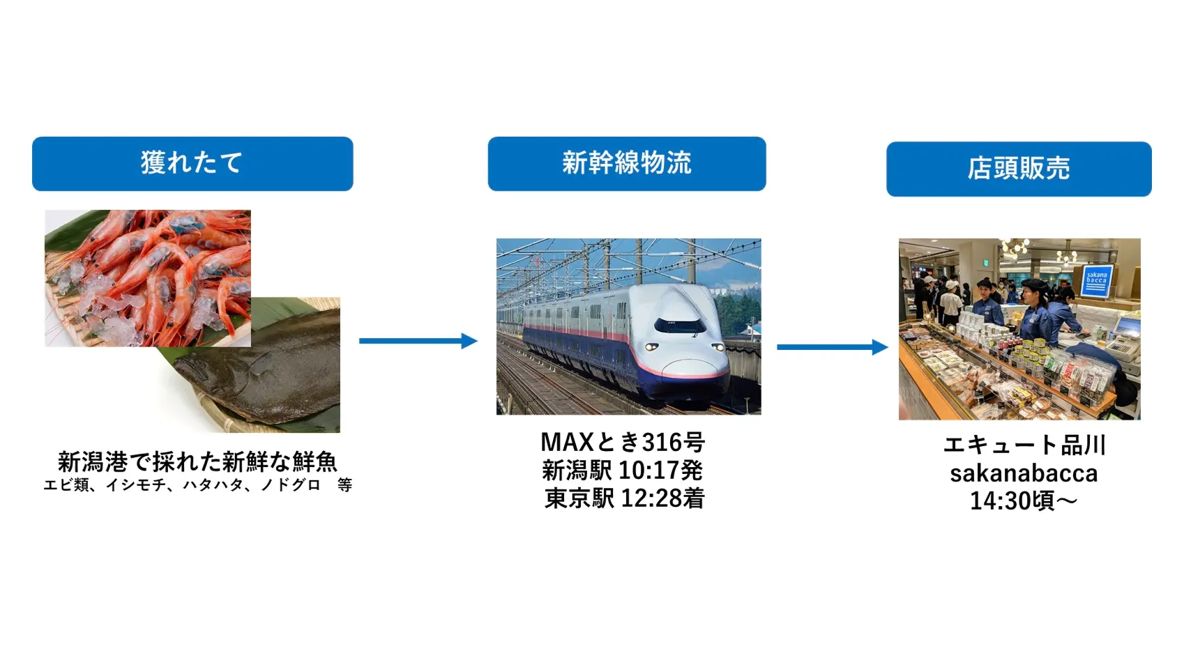 thumb_820200120135721.jpg
