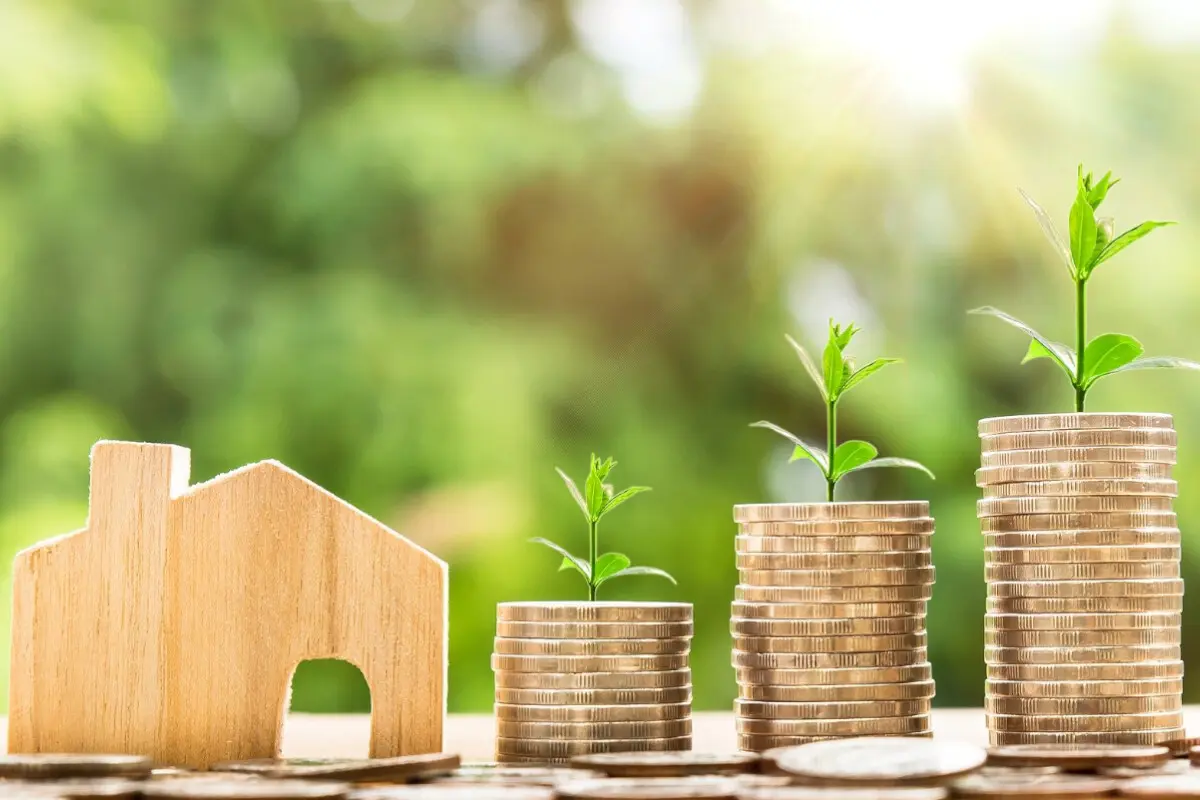 thumb_820200525085433.jpg